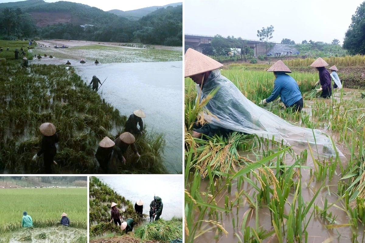 Khẩn trương khắc phục hậu quả sau bão số 11, ổn định đời sống nhân dân, đẩy mạnh khôi phục sản xuất kinh doanh